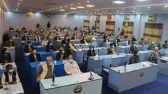 प्रदेश सभा 