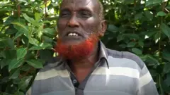 Rakkoo gabaa jimaa qonnaan bultoonni Harargee maal jedhu?