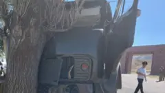 Курсанттар кырсыгы