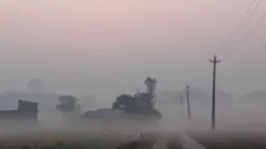 सुनसरीमा लागेको हुस्सु र तुवाँलो 