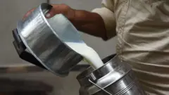 ஆவின், பால் பாக்கெட், தமிழ்நாடு, பாக்கெட் நிறம்
