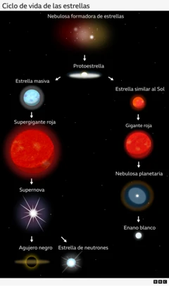 A flowchart illustrating the life cycle of stars: A star-forming nebula creates a protostar, which can take one of two paths; As it evolves into a massive star, it becomes a red supergiant and then a supernova, leading to a black hole or neutron star. When it becomes a sun-like star, it becomes a red giant, then a planetary nebula, leading to a white dwarf.