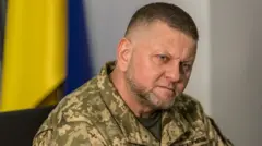 Залужний