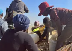Des hommes et des femmes autour du moulin à mil
