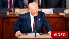 அமெரிக்கா 