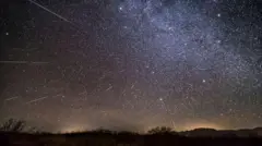 A night sky is illuminated by the Geminid meteor shower. A multitude of stars dot the sky above a pitch black, tree-lined horizon. Long streaks of white - the "shooting stars" - emanate from the centre of the picture.
