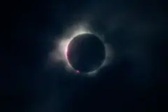 لمر نیونه