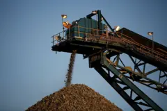 Un convoyeur à bande dépose le minerai de roche traité sur un terril à la mine d'or de Kibali