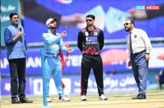 Cricket 