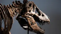 dinosaurus, najskuplji dinosaurus, t-reks