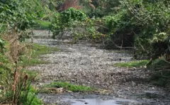 நொய்யல் ஆறு, கோவை, நொய்யல், நதி, கோவை குற்றாலம்