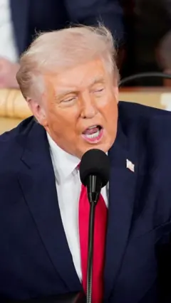 الرئيس الأمريكي دونالد ترامب