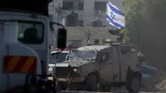جنين