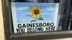 Cartaz com o desenho de um girassol e os dizeres: 'Gainesboro: este é o seu lugar'.