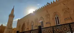 الكثير من الحمام يقف على الجدران الخارجية لمسجد الحسين في القاهرة