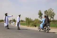taliban