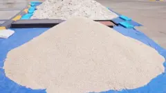 ዕጸፋርስ