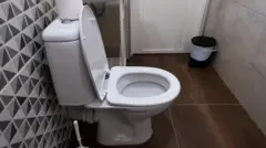 टॉयलेट