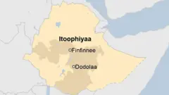 Haleellaa tibbanaan lubiifi daaqoniin maatii isaanii waliin Dodolaatti ajjeefamuu BBC'n dureewwan amantaarraa odeeffateera 