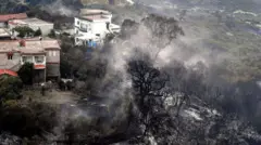 Imiriyo y'agasozi muri Tuniziya