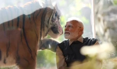 Vantara,વનતારા, રિલાયન્સ ઇન્ડસ્ટ્રીઝ, મુકેશ અંબાણીના સૌથી નાના દીકરા અનંત અંબાણી પ્રોજેક્ટ, હાથી, રૅસ્ક્યૂ ઍન્ડ રિહેબિલિટેશન સેન્ટર, વનતારાના વિવાદ, બીબીસી ગુજરાતી