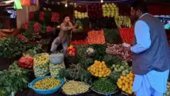 تصویر یک میوه فروشی در کابل. مردی که در حال خرید است و پسری فروشنده 