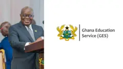 Nana Akufo Ado