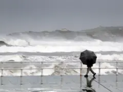 હવામાન સમાચાર