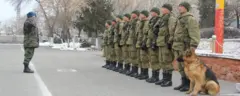 Атайын жолугушуу болуп, анда Баткен районунун Дахма жерлигиндеги шартуу  мамлекеттик чек ара сызыгына жакын жерде кечки 21.15 болгон Тажикстан тараптан белгисиз адамдар тарабынан 7-8 жолу ок атылган окуя боюнча талкуулашты