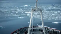 криголам