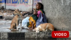 உலகின் ரேபிஸ் இறப்புகளில் 36% இந்தியாவில் நடப்பதாக உலக சுகாதார நிறுவனம் கூறுகிறது.