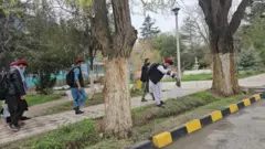 دانشجویان در حال پاک‌کاری دانشگاه کابل