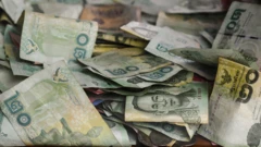 ภาพประกอบ