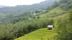 रित्ता घर