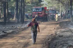 Denizli’de 20 hektarlık orman zarar gördü