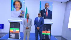 Daarektara Tajaajila Odeeffannoo fi Tika Biyyaalessaa Itoophiyaa Redwaan Huseen (bitaa) fi gitasaanii kan Keeniyaa Nuuraddiin Mohammad Hajii (mirga)