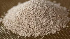 Dried Yeast