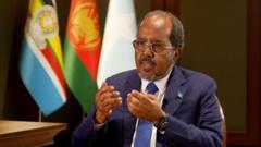 ፕረዚደንት ሶማል፡ ኢትዮጵያን ግብጽን ኣብ ሃገሩ ከም ዘይዋግኣ ገሊጹ
