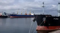 Ərzaq qida taxıl ərzaq qida təhlükəsizliyi Ukrayna Rusiya Rusiya Ukrayna savaşı