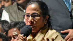 મમતા બેનરજી