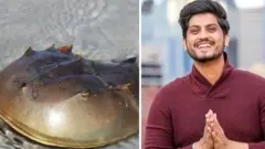 ਗੁਰਨਾਮ ਭੁੱਲਰ