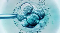 கரு தத்து கொடுக்கும் திட்டங்கள்