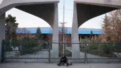 دانشگاه تهران