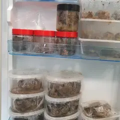 Recipientes plásticos com fragmentos de cérebro em uma geladeira na Universidade de Oxford.