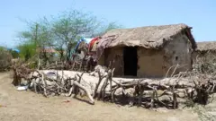 ओसाड गावं