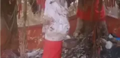 aworan ile osa