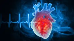 இதய நோய், மாரடைப்பு, கொழுப்பு அளவு, இதய பாதிப்புகள் 