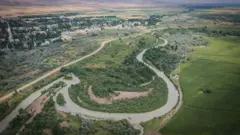 Чүй дарыясы