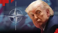 Президент США критикує європейських союзників НАТО і погрожує вийти з альянсу. Наскільки серйозна криза в час дедалі більшої нестабільності у світі - і чим для НАТО в цей час цінна Україна. 