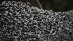 Coal